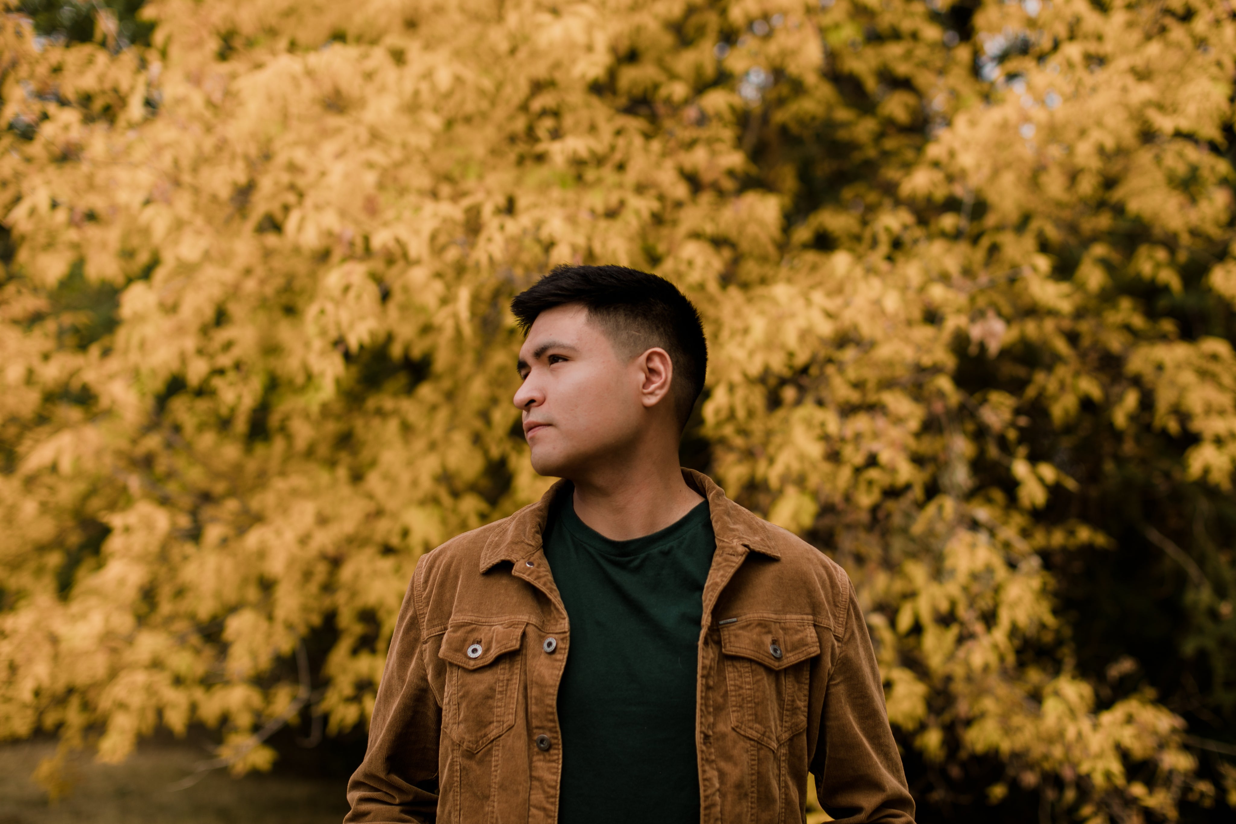 <em>Luis A.</em>